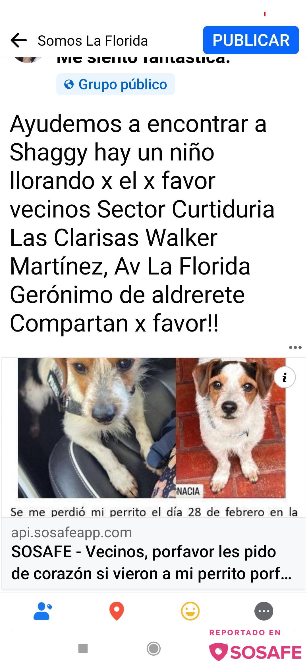 Sosafe Vecinos Porfavor Les Pido De Coraz N Si Vieron A Mi Perrito