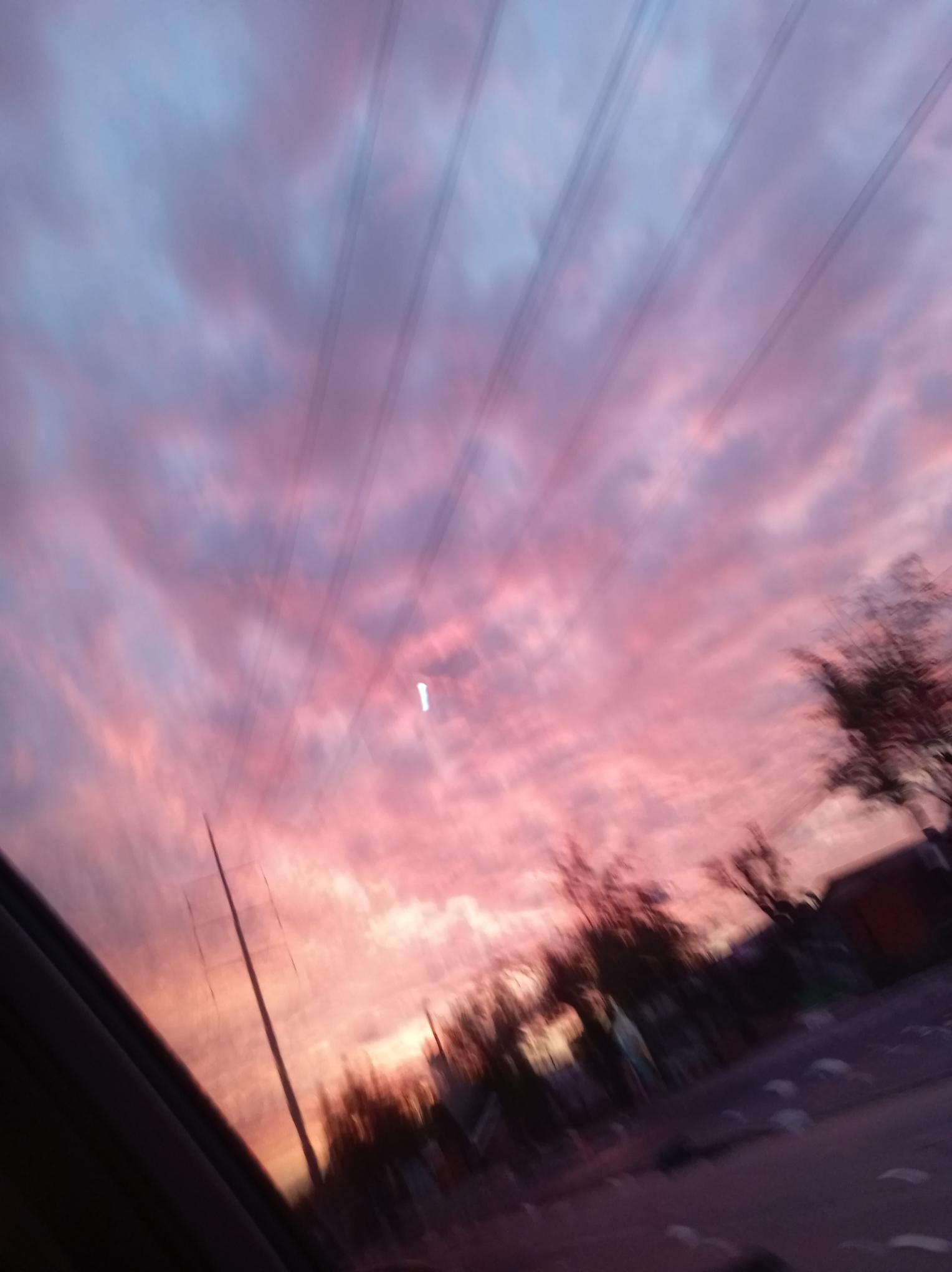 Leal