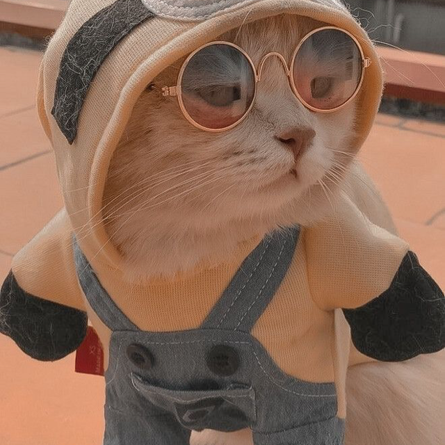 Yo