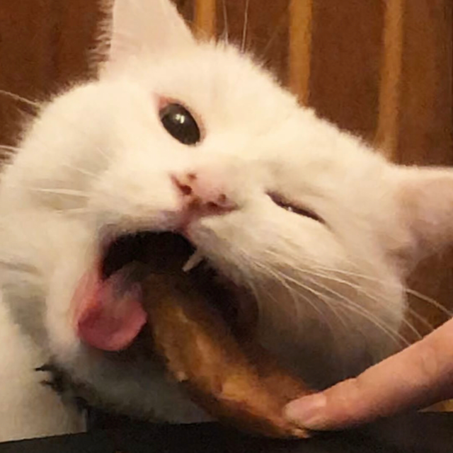 Marco
