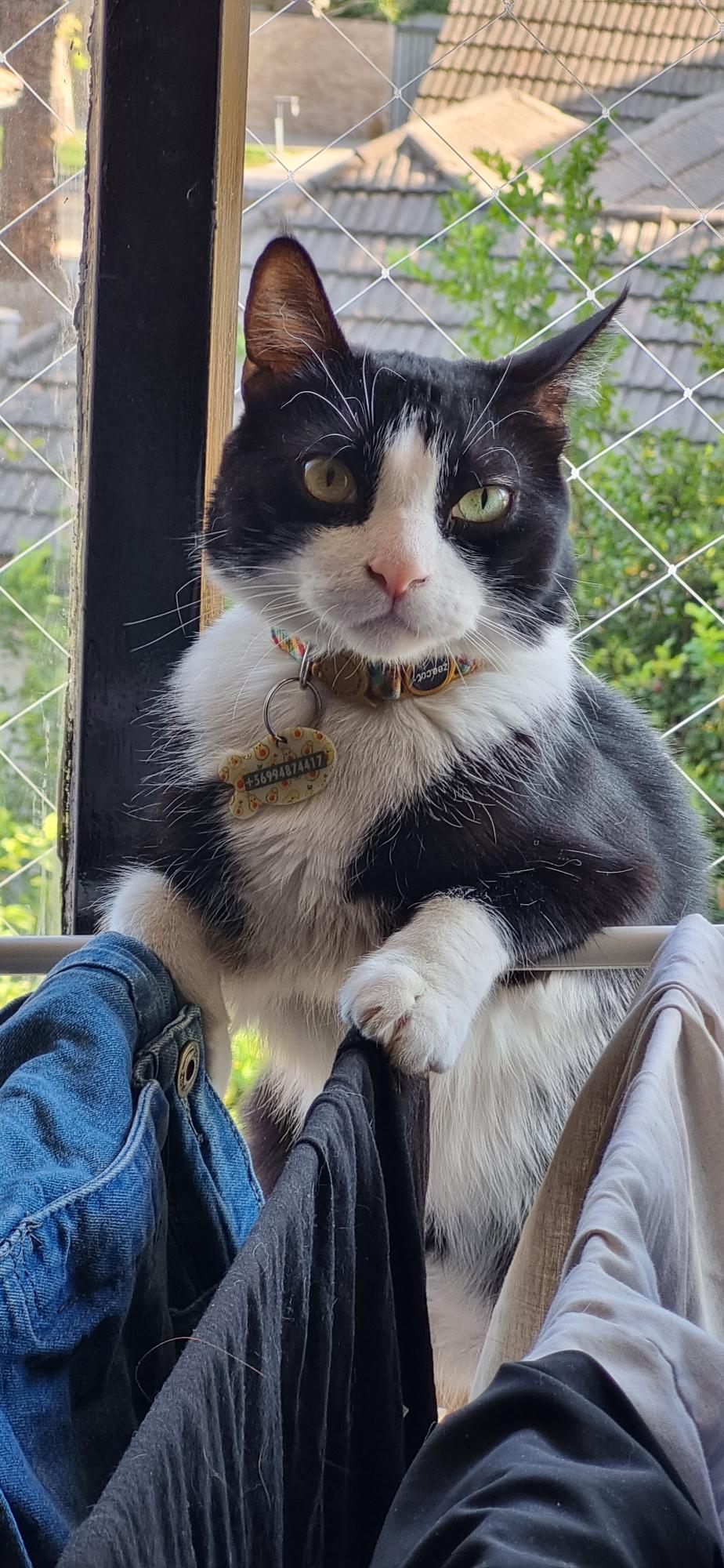 Sally