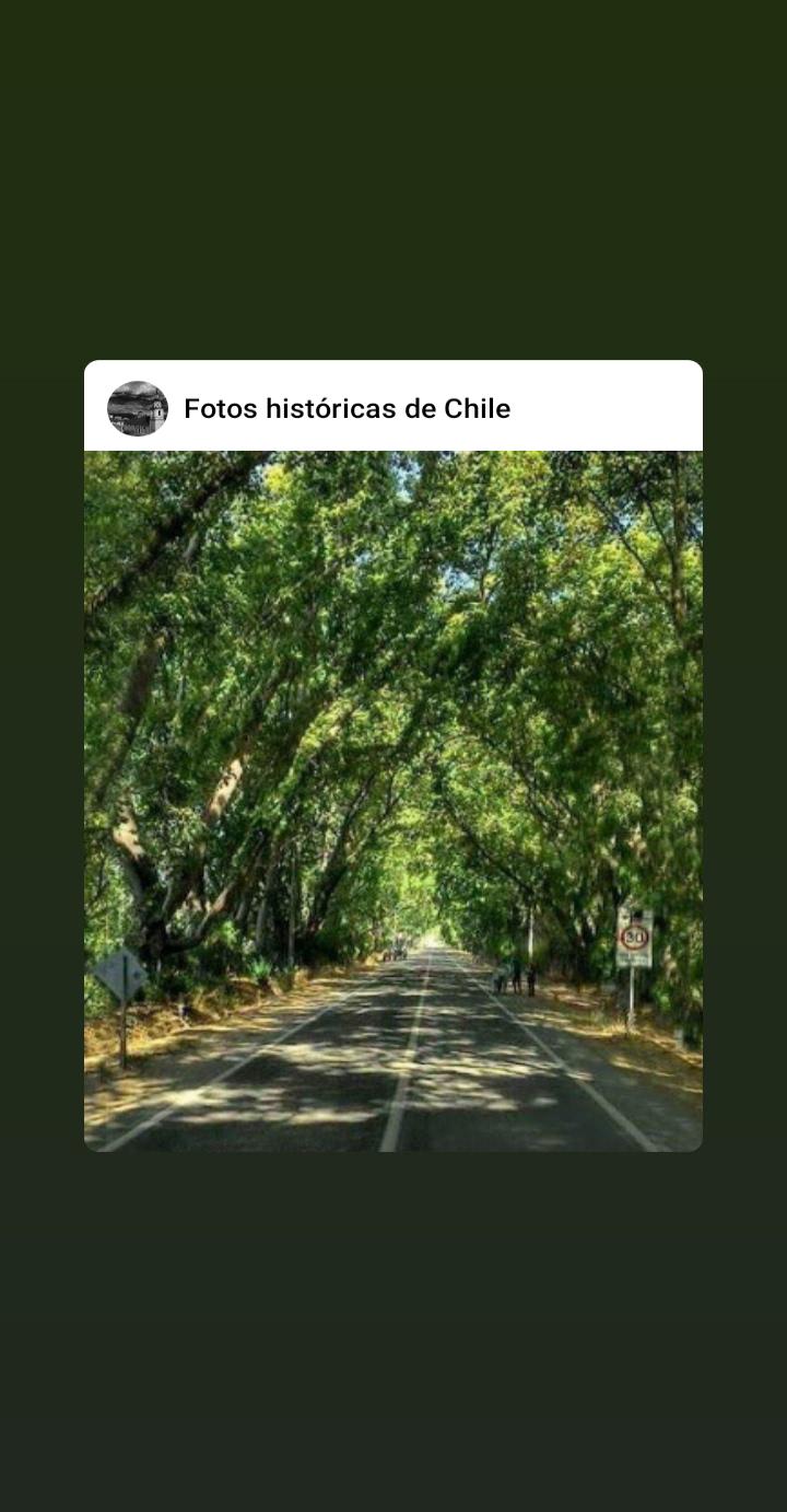 Anónimo