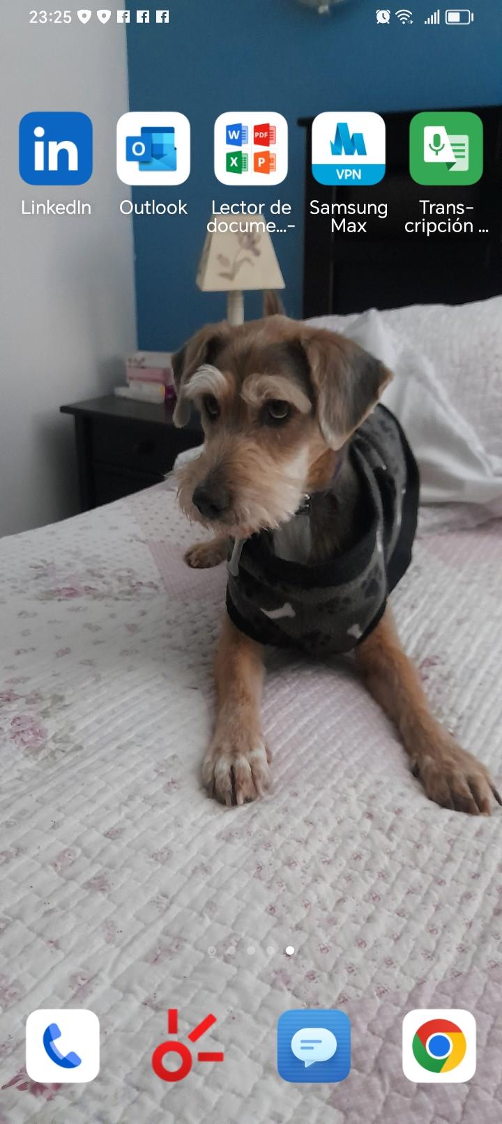 Beatriz