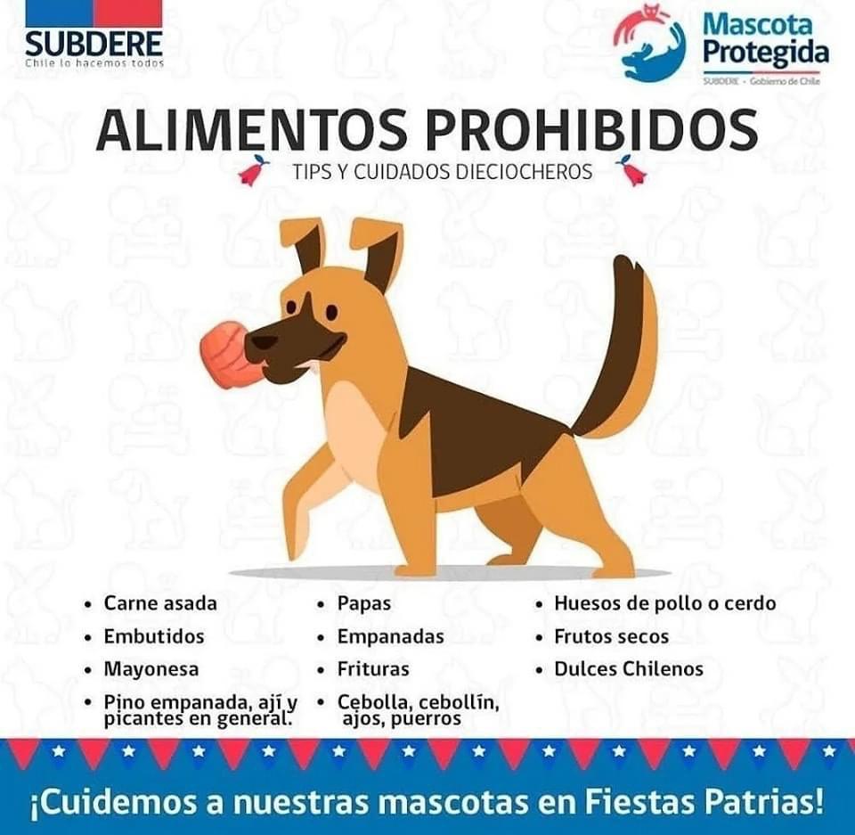 Antonio