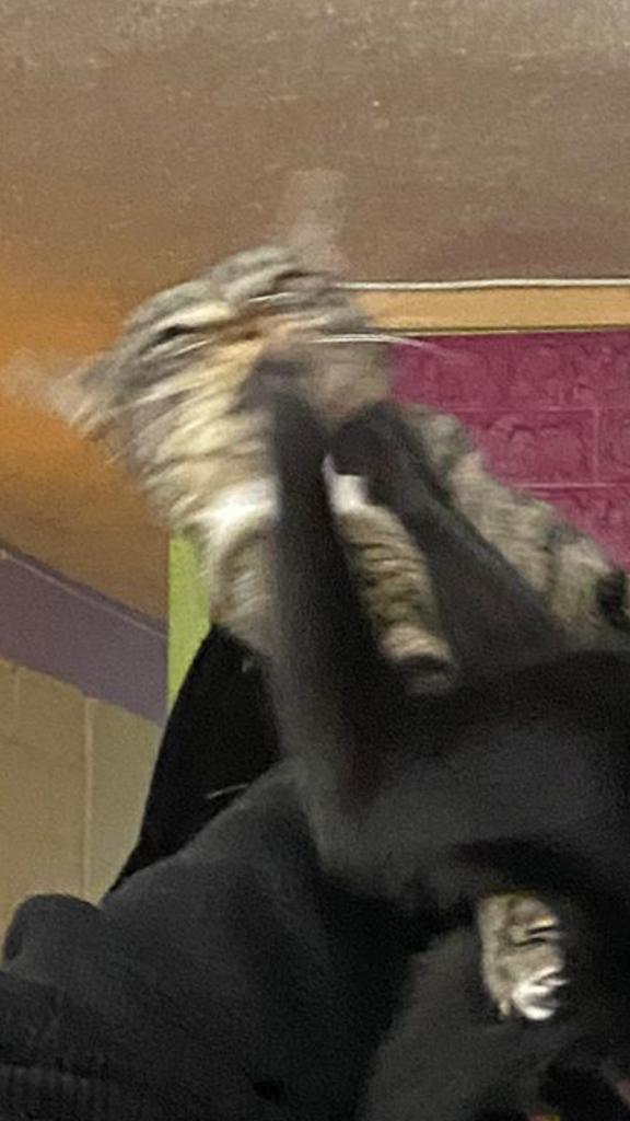 C