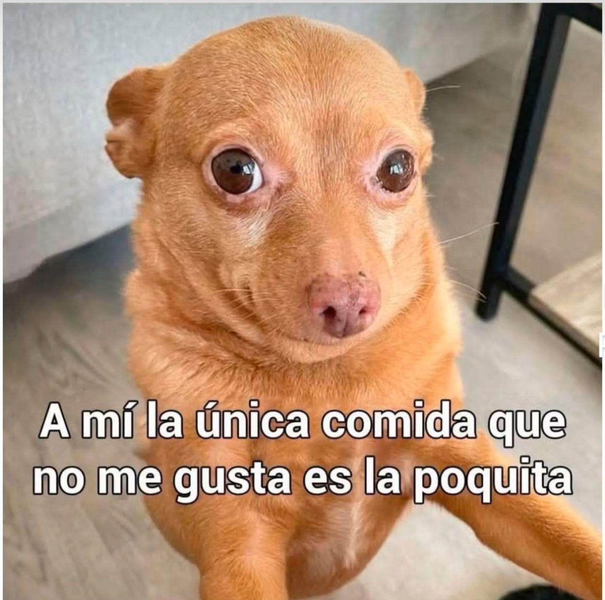 Winnie