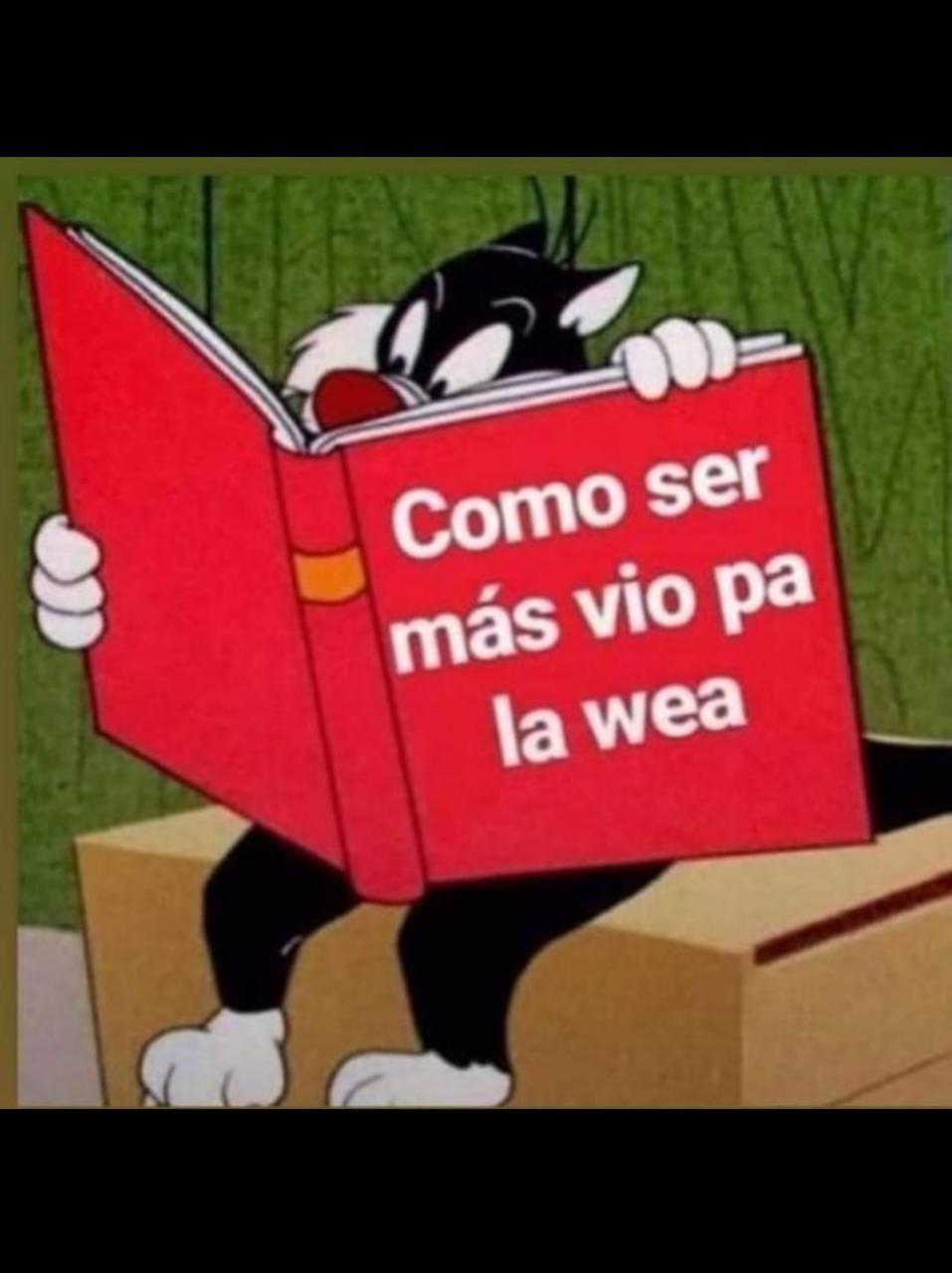 Anonimo