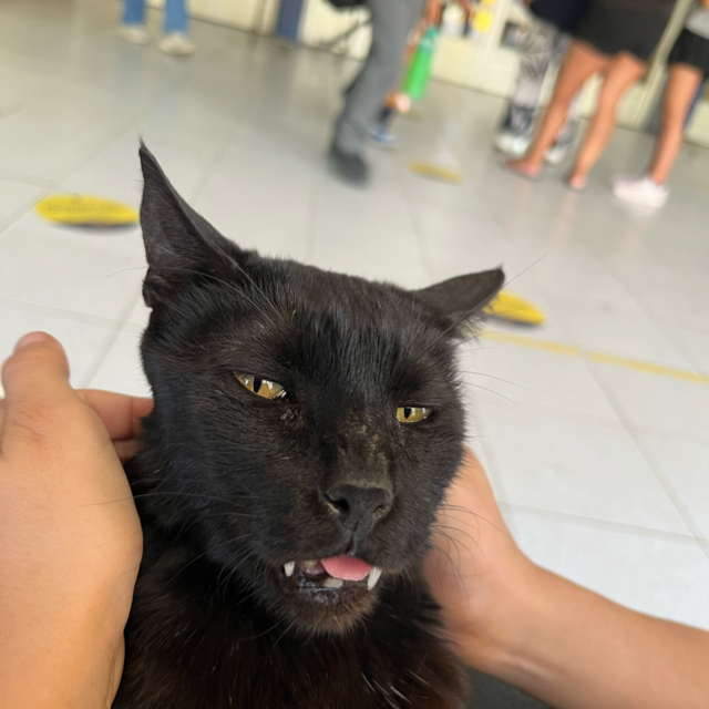 Pampampam