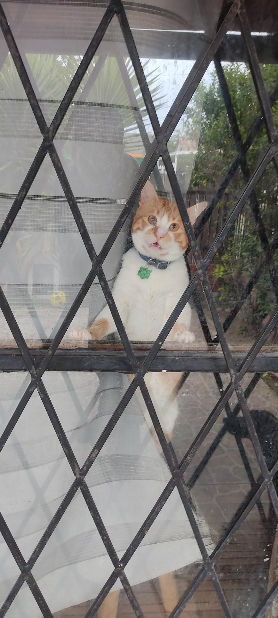 Juan Carlos