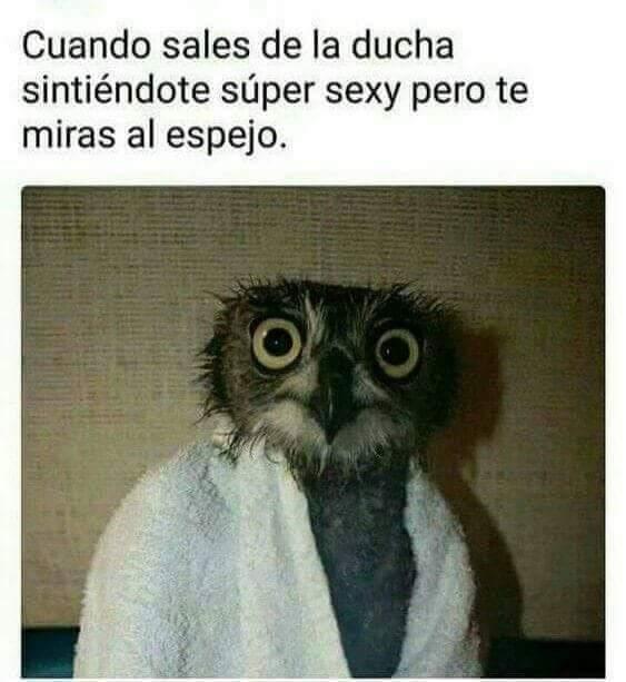 Guateperro