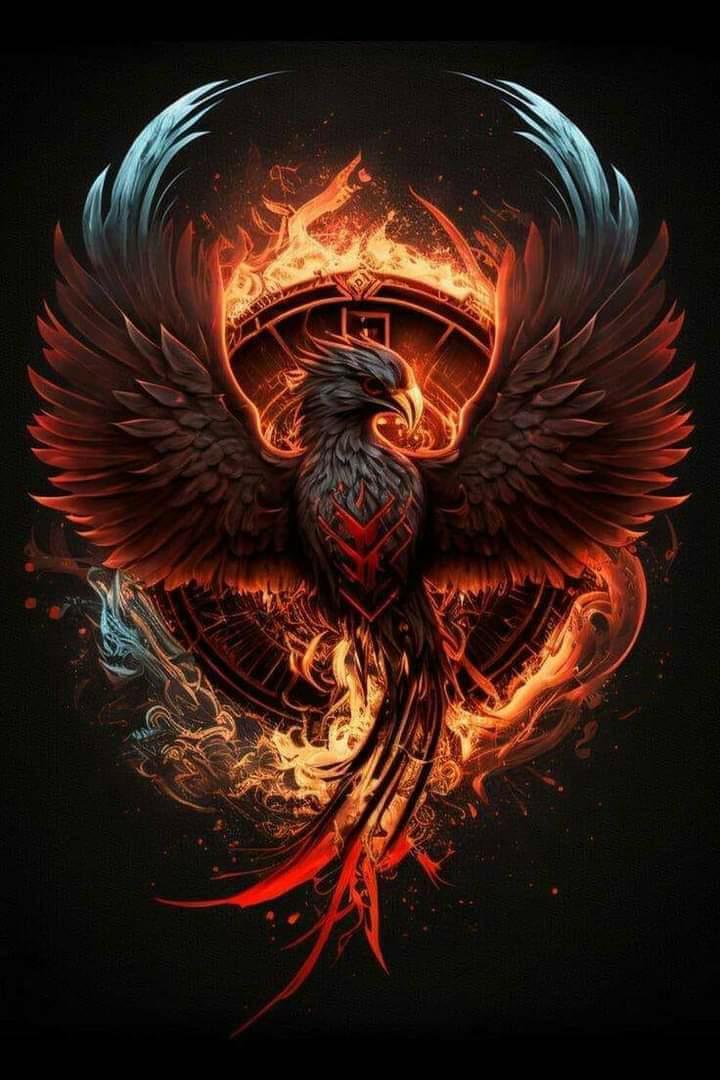 BlackHawk