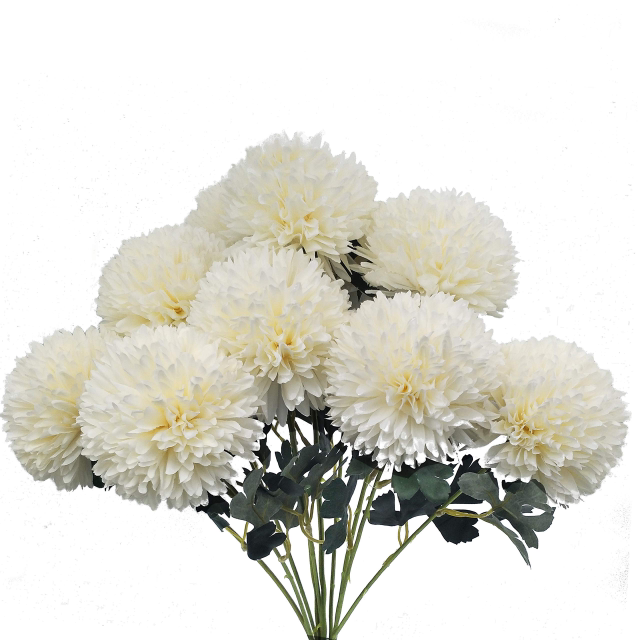 Blanquita