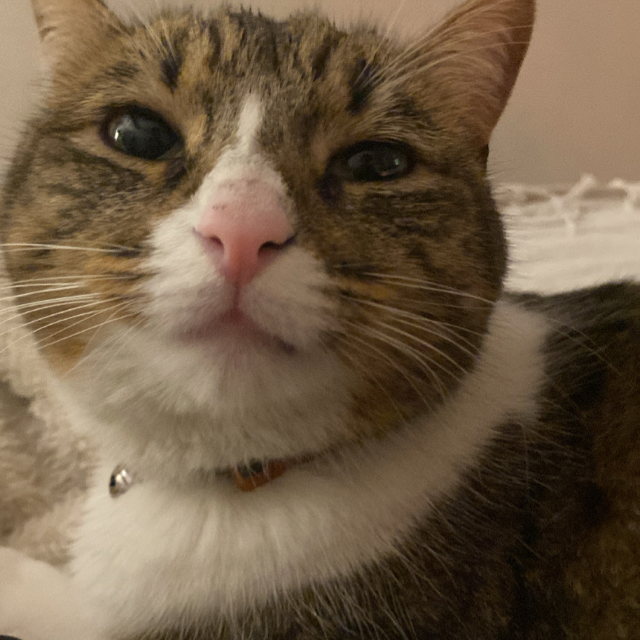 Marti