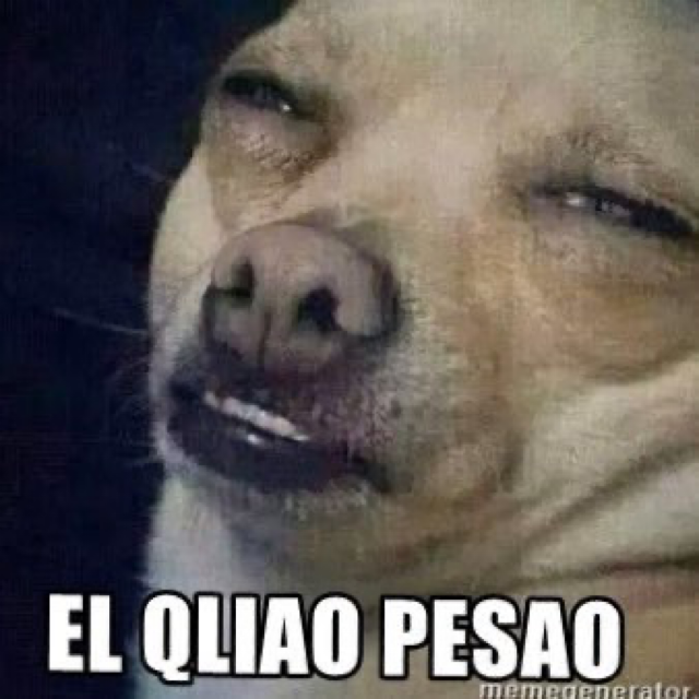 Qlo pesao 