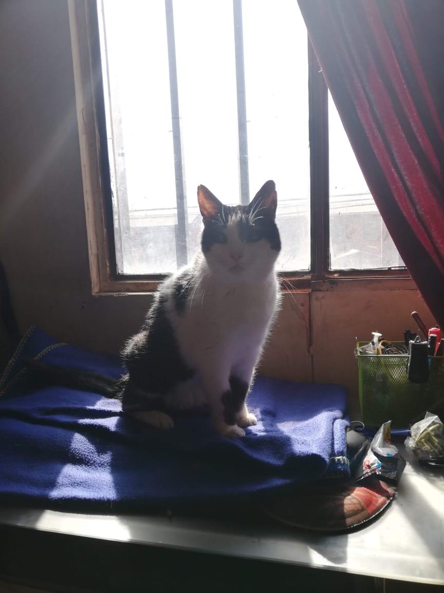 Luna