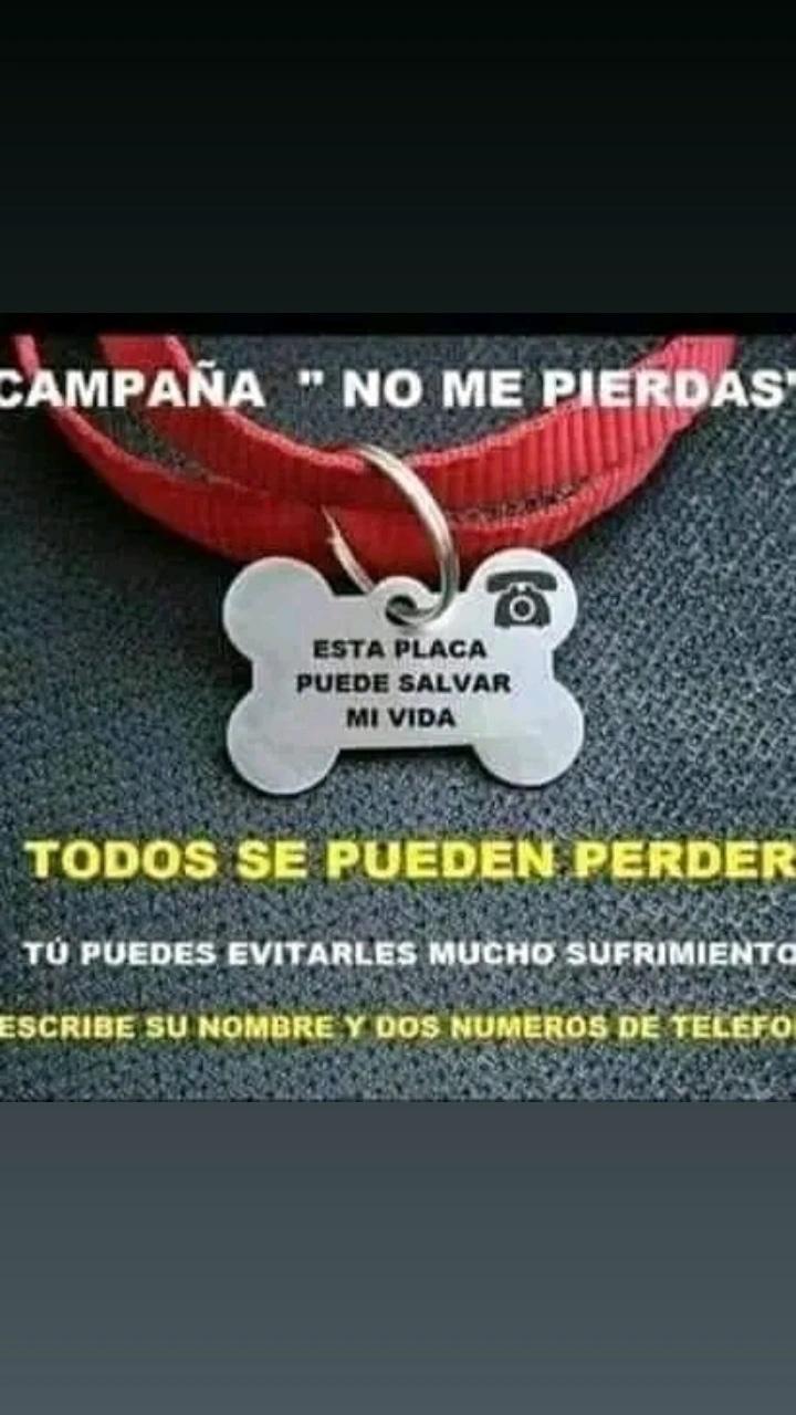 Edmundo