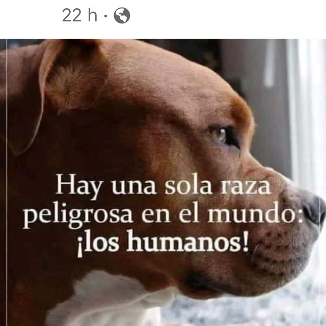 Pia