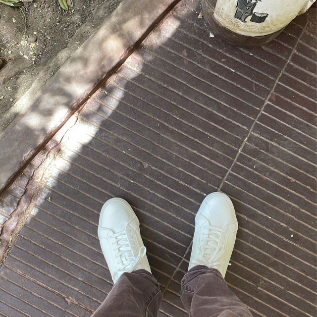 Seguas