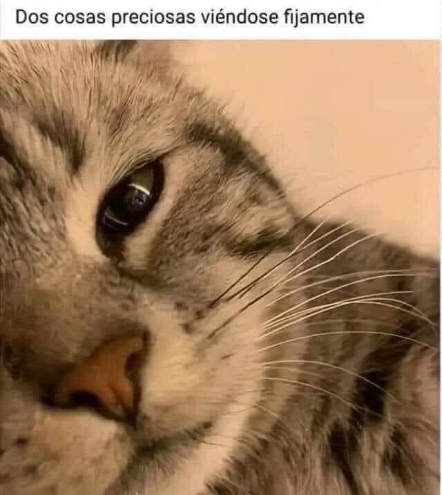 Mmmm