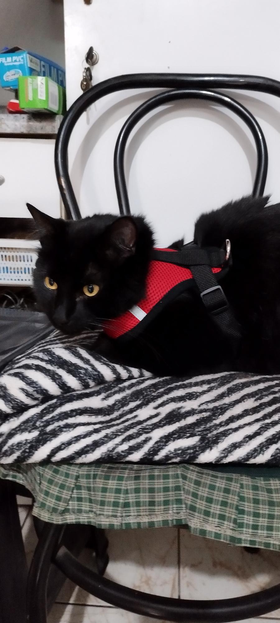 Fran