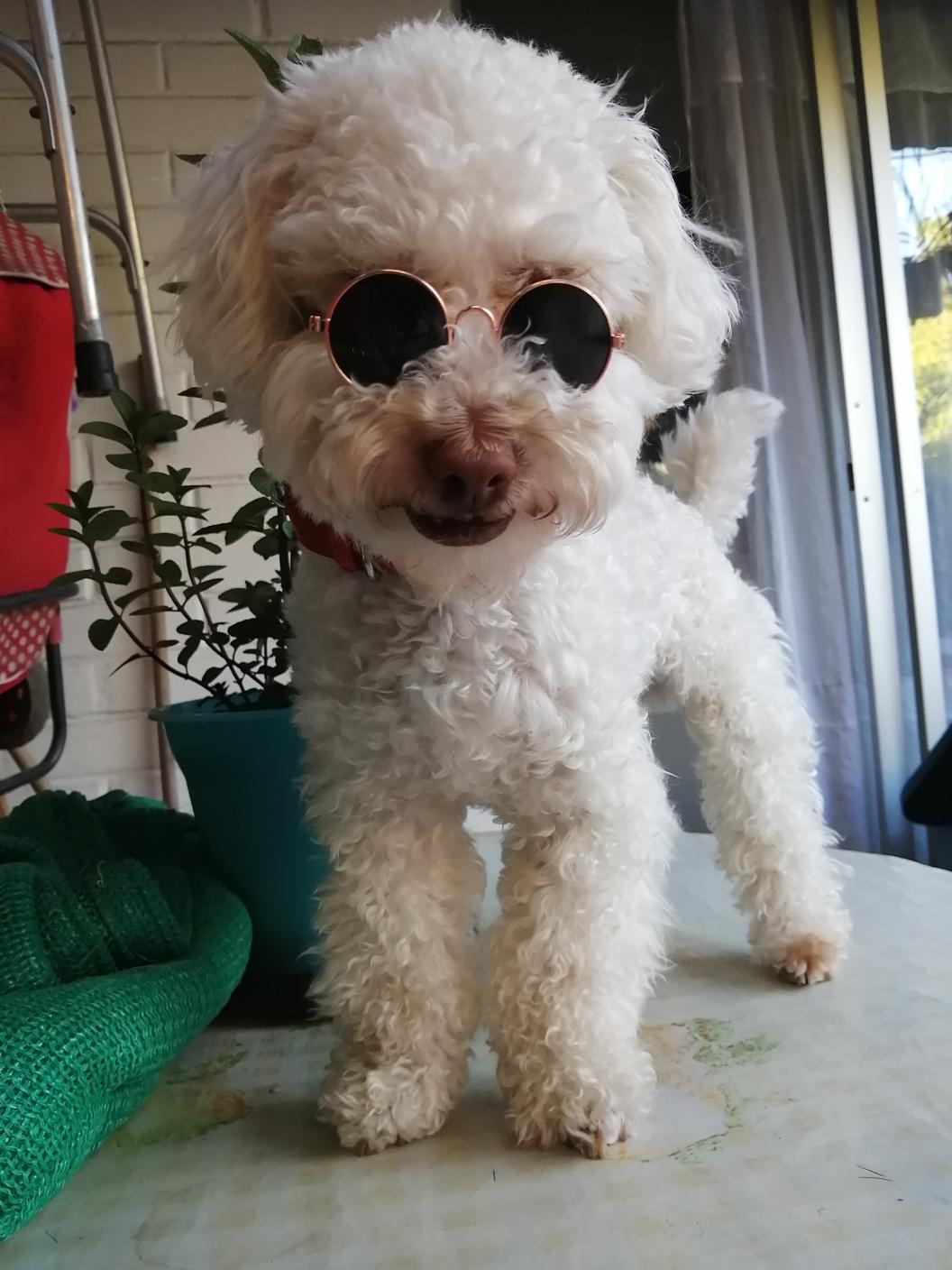 Sofía VR