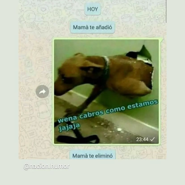 Anonimose