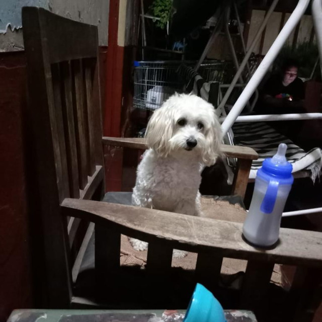 Alberto