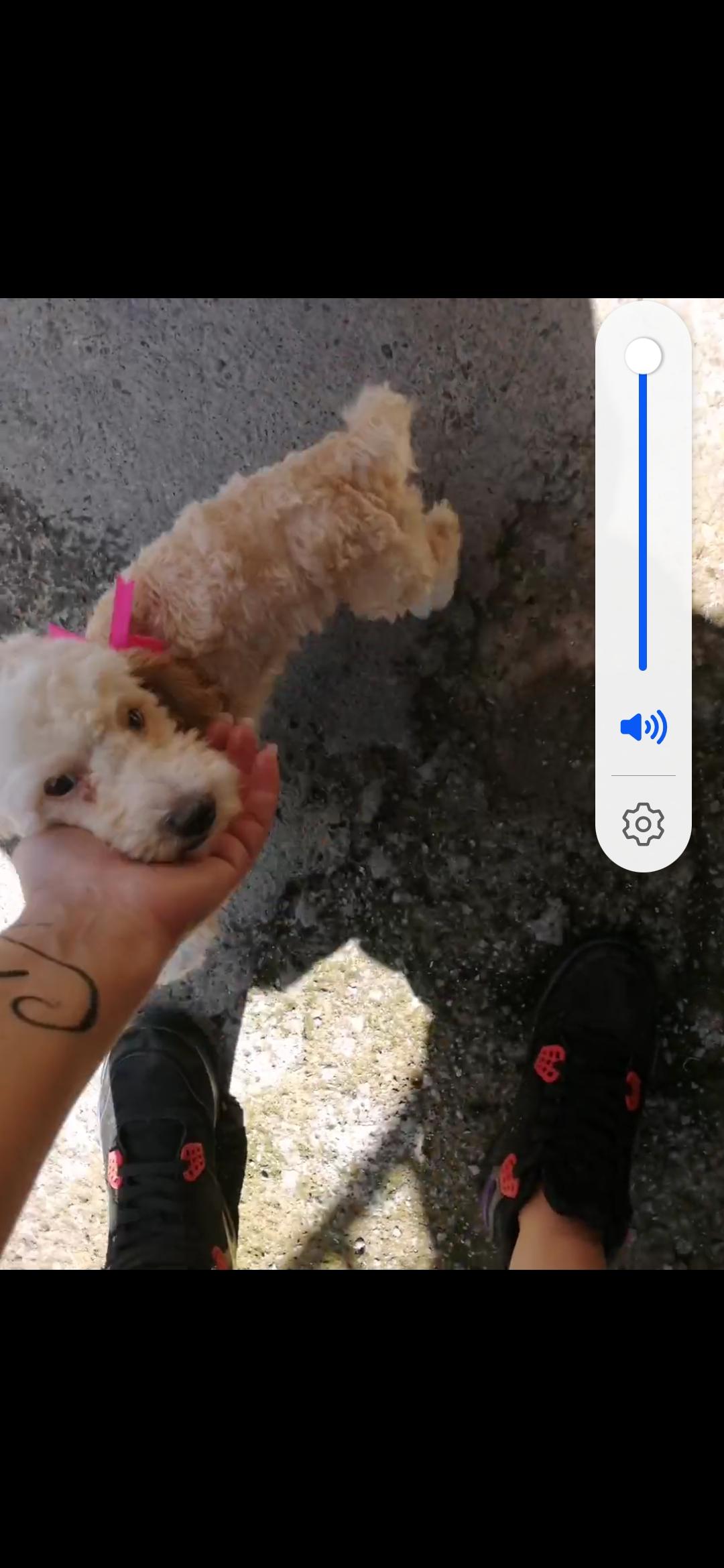 Chiki
