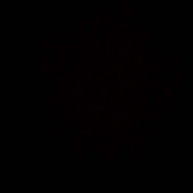 Anonimo