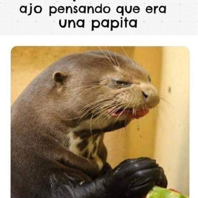 Cynthiah