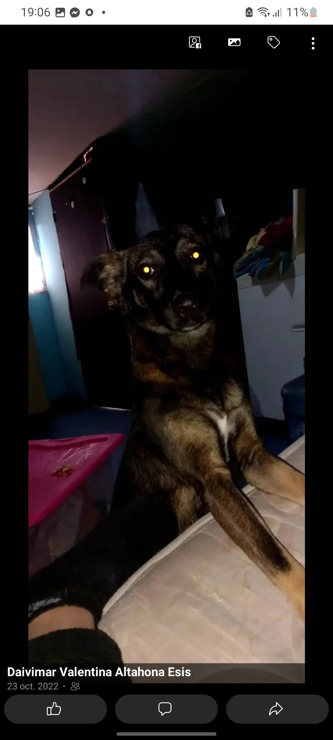 Negra