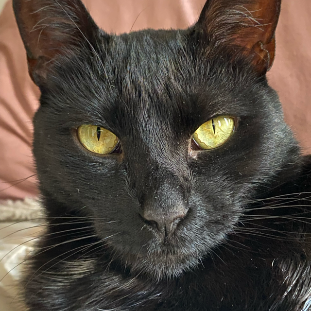 Camilo