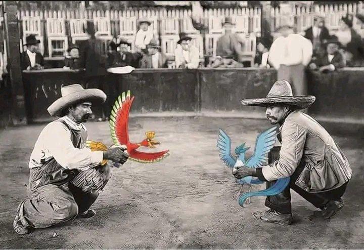 León ♌