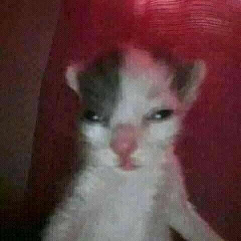 user12368
