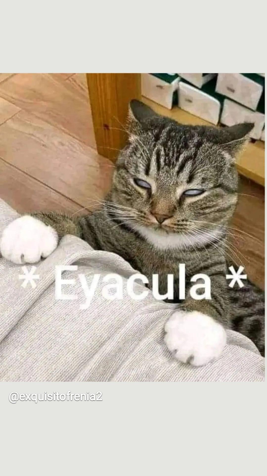 Mati