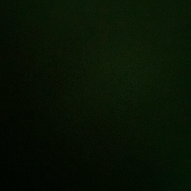 Yo