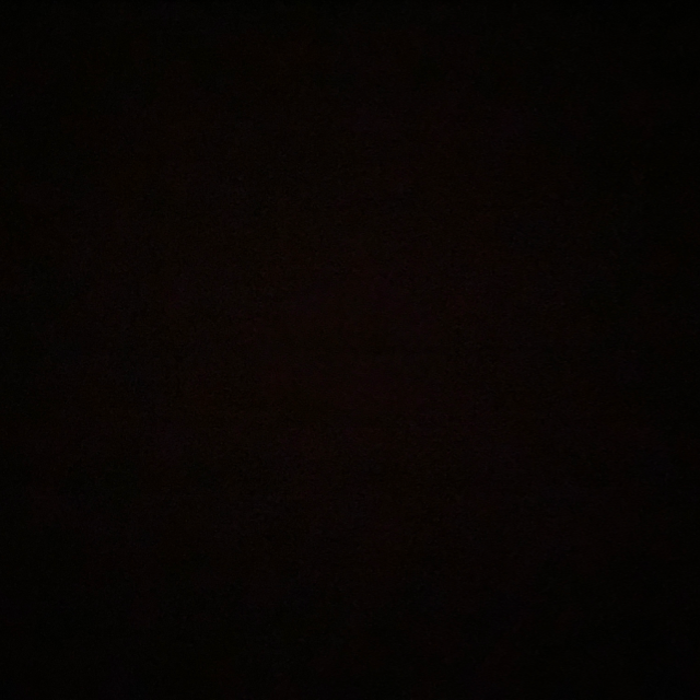 Anonimo