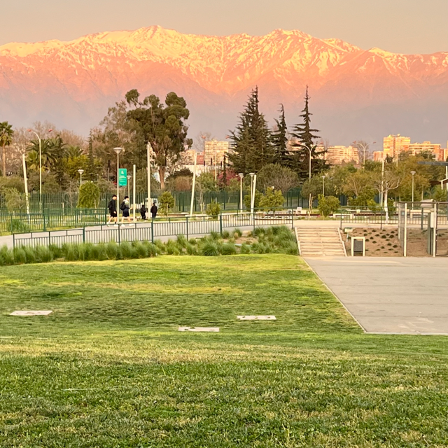 Arb