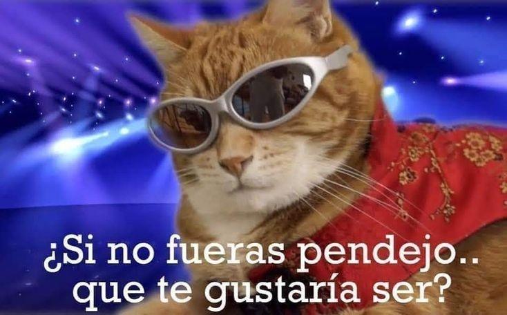Jav
