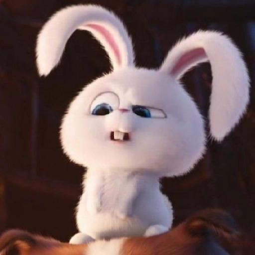 Nini