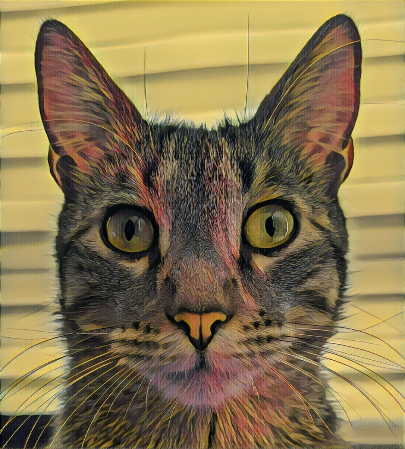 Sebastian