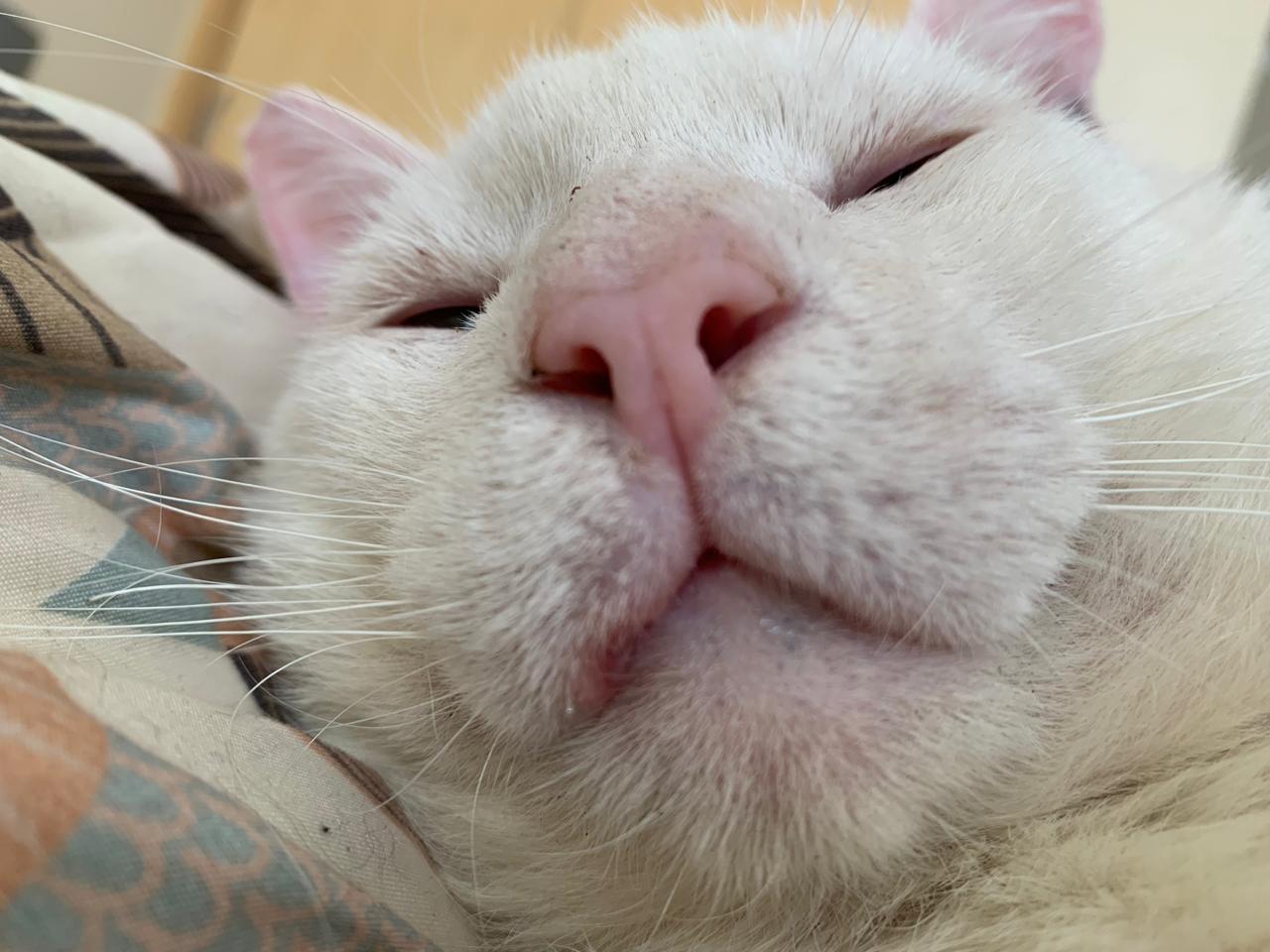 Iván