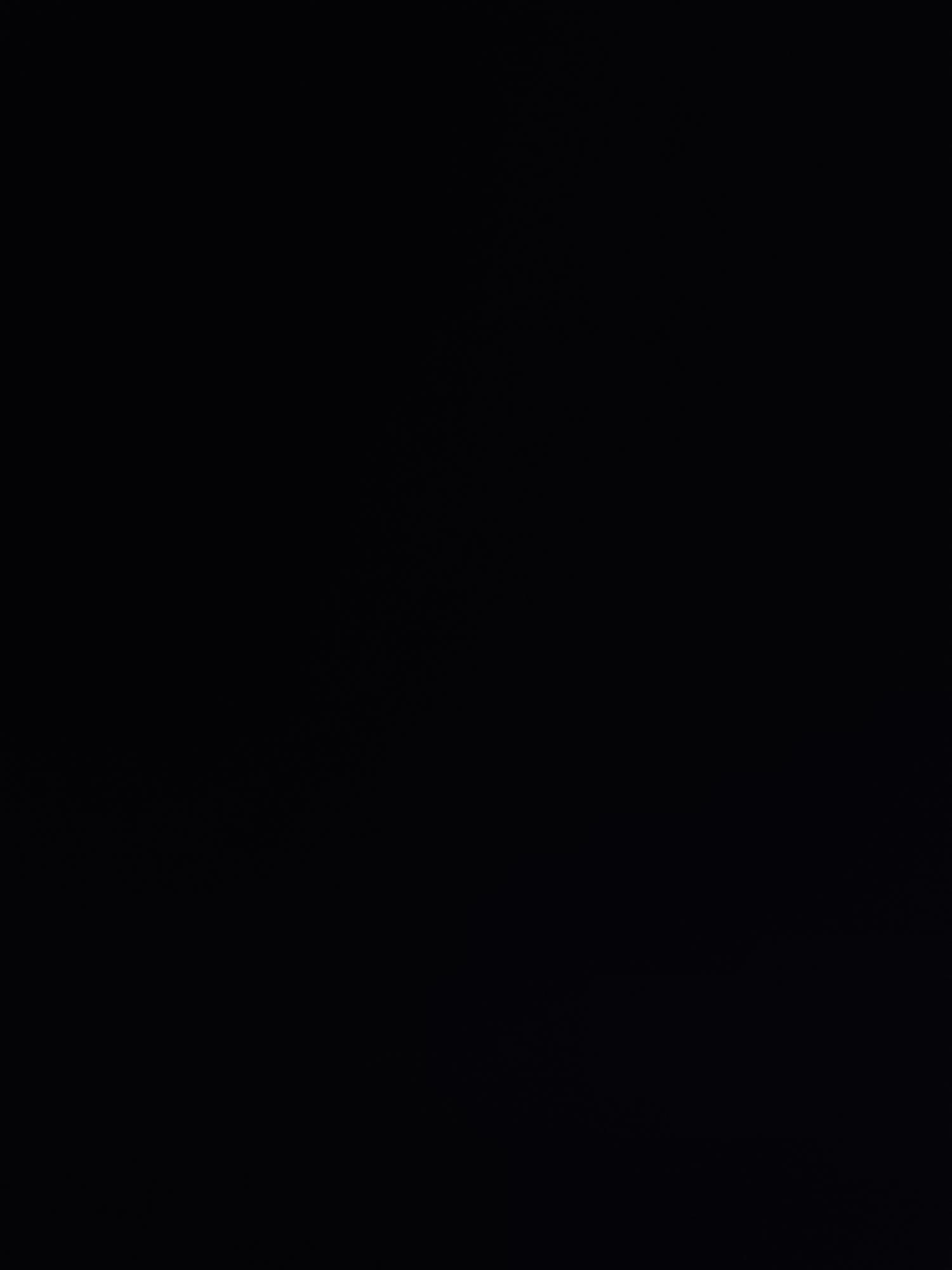 Anonimo