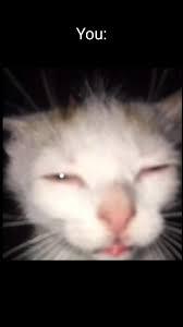 anonkmo