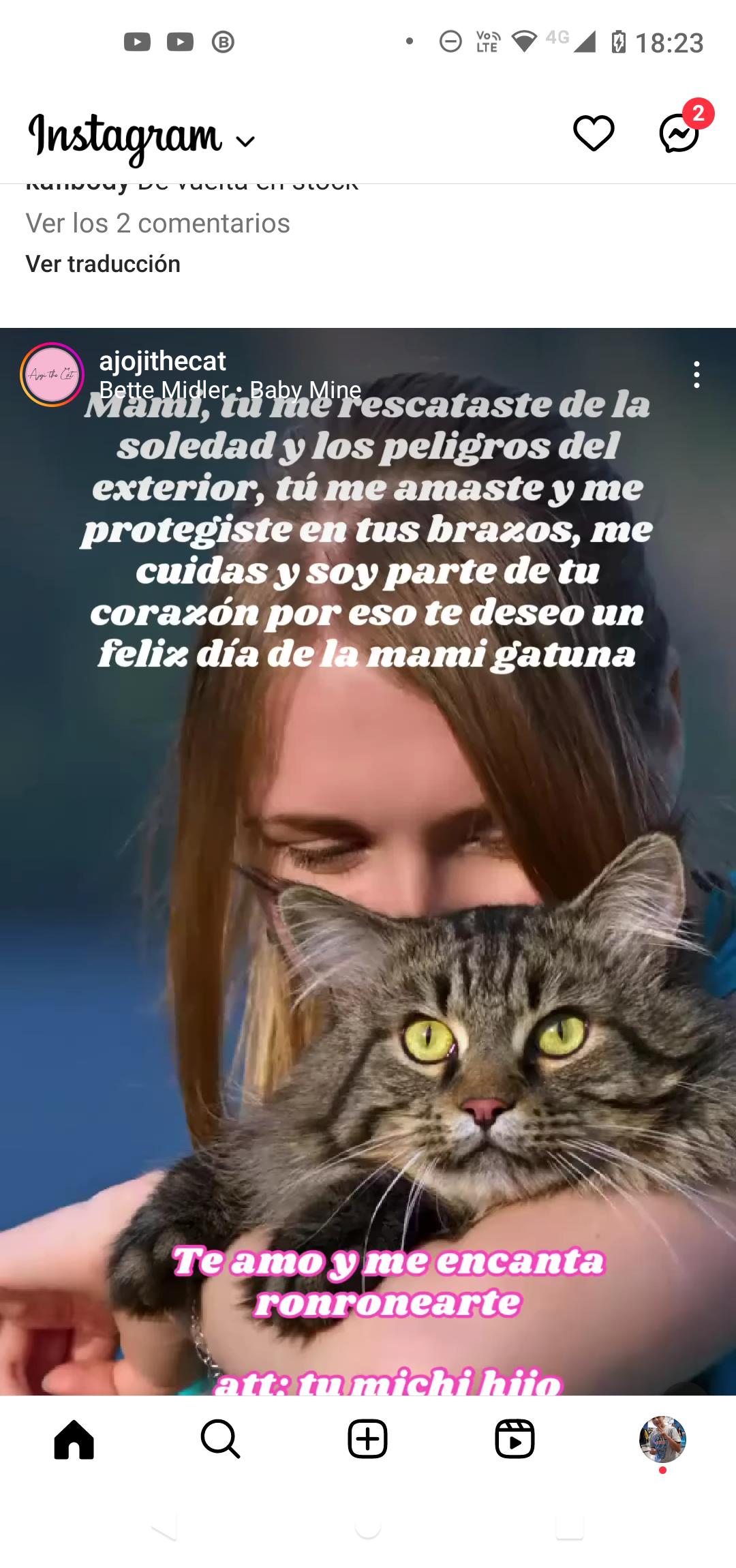 Yanett