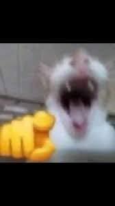 Nao