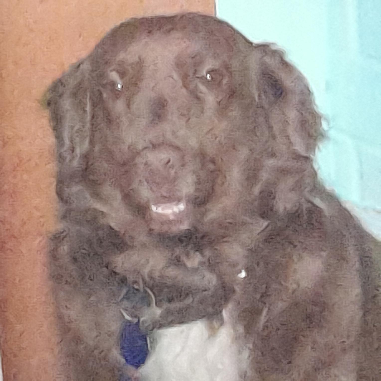 Diego