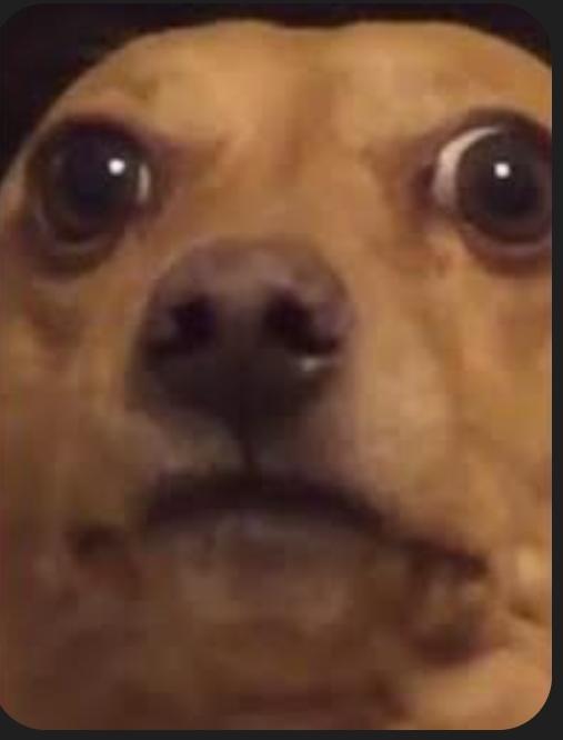 M. A