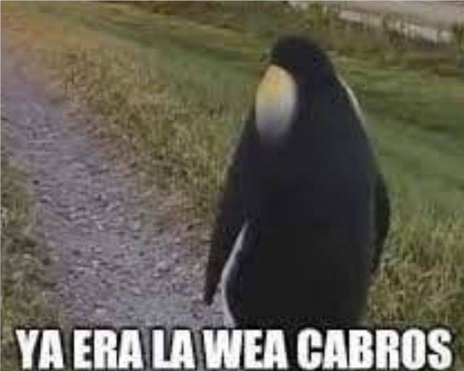 Carlos