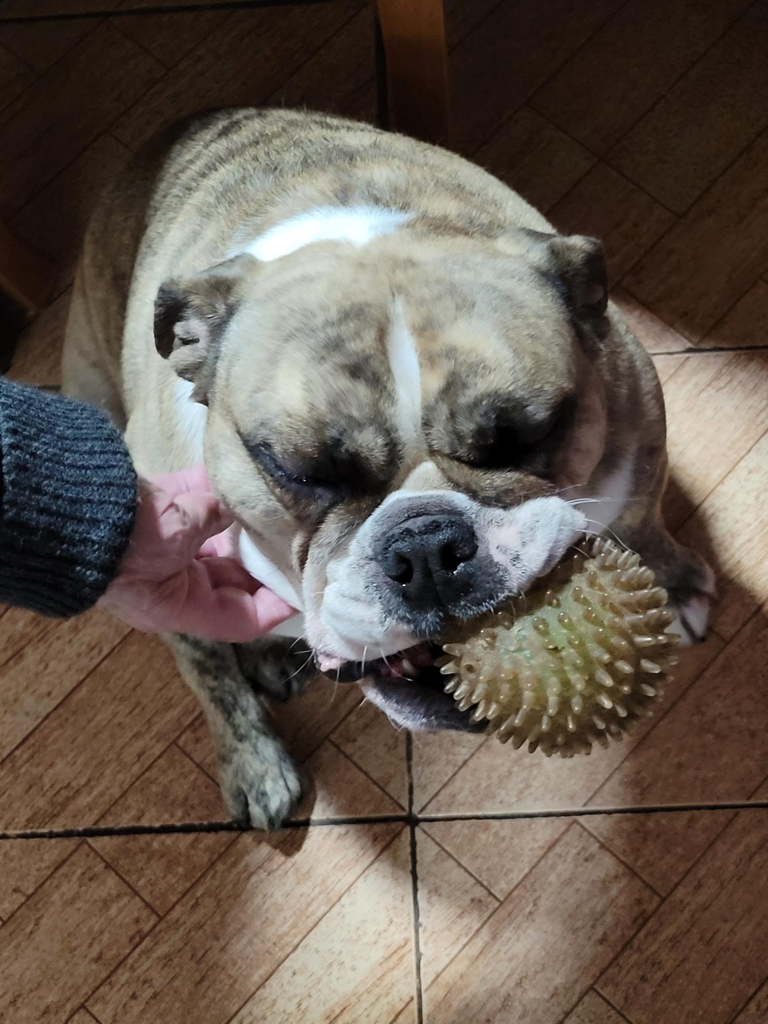 Maggie